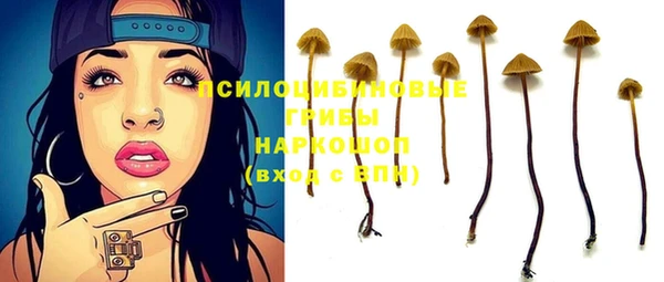 амф Алексеевка