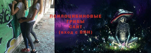 марихуана Абаза