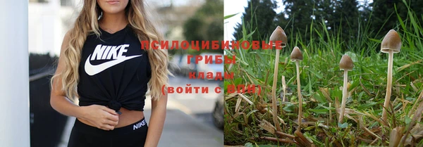 марихуана Абаза